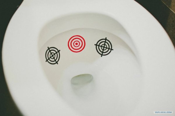 Муха в туалете