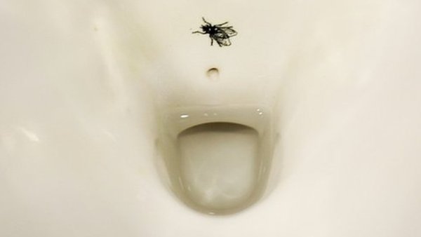 Мишень унитаз для унитаза