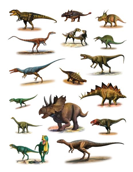 100 Наклеек. Хищники