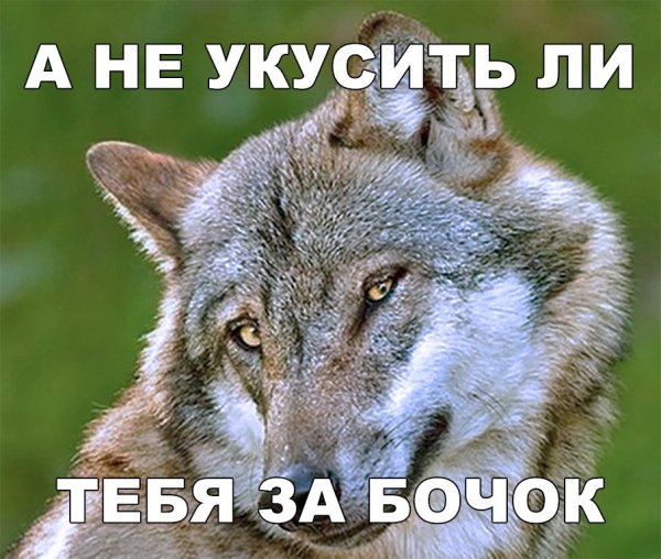 Укусит за бочок