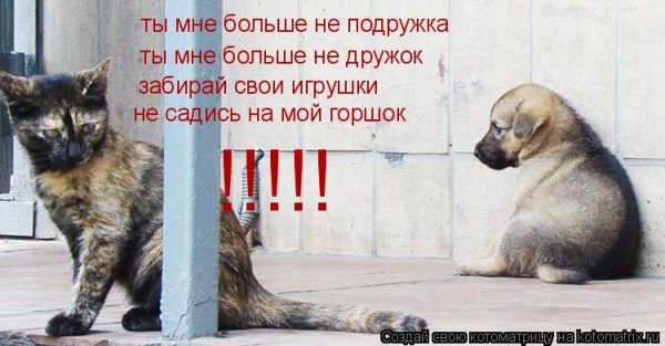 Ты мне больше не подружка ты мне больше не дружок
