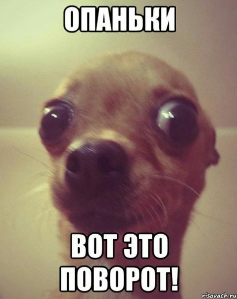 Мемы с извинениями