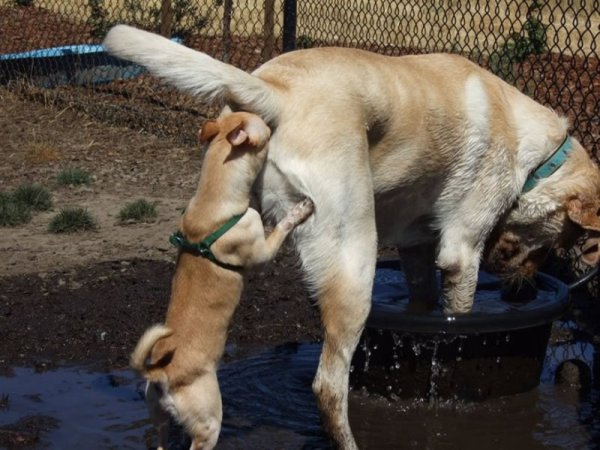 Картинки приколы