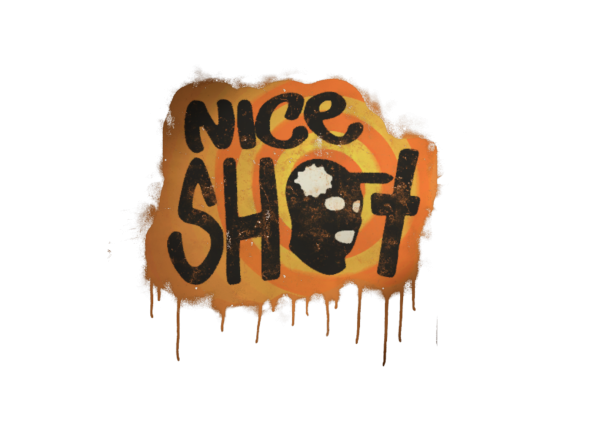 Наклейка КС го nice shot