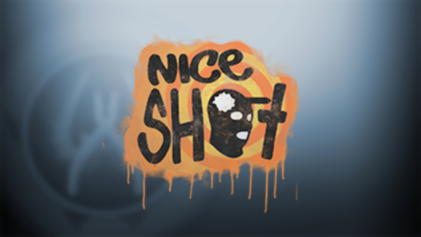Наклейка nice shot CS go