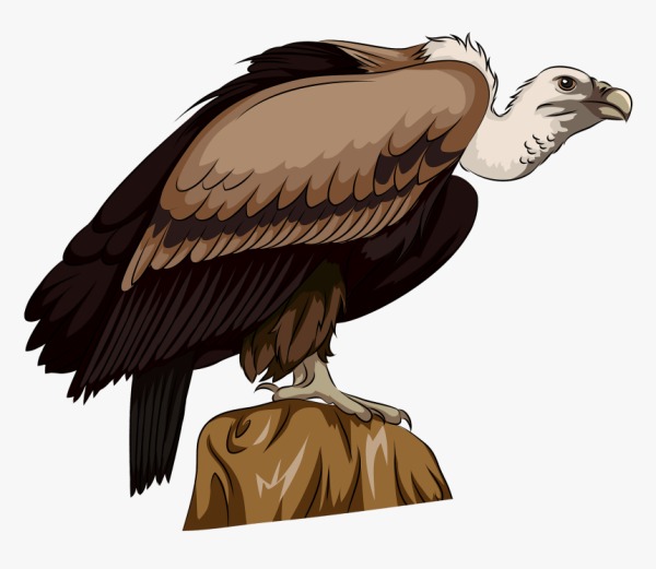 Падальщик мультяшный