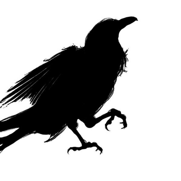 Ворон силуэт