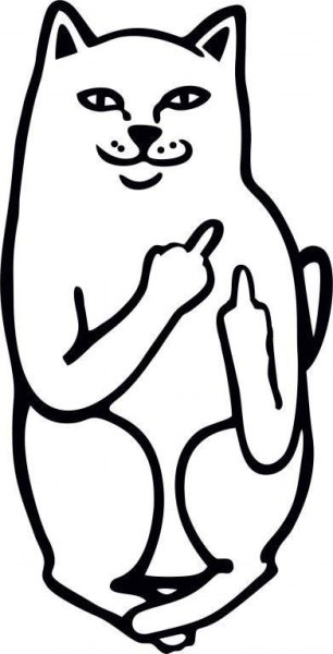 Кот показывающий средние пальцы