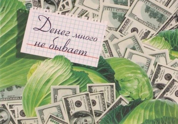 Этикемткана Бану с деньгами