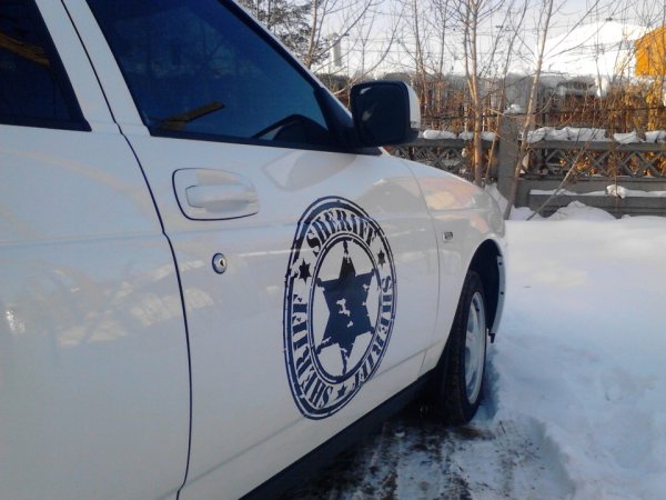 Наклейка Прайд со львом на лобовом