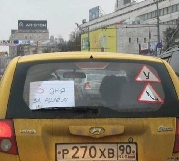 Знак начинающий водитель смешной