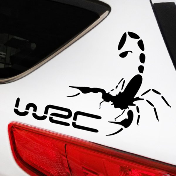 Винилы на авто