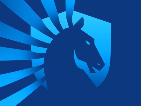 Ликвид рмрликвид КС го