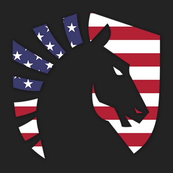 Тим Ликвид логотип