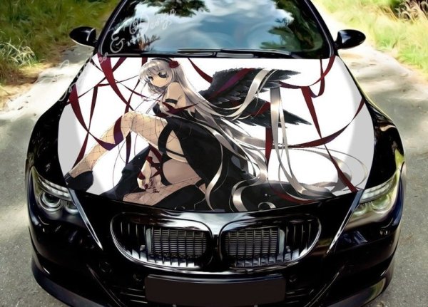Stickers under Hood of car