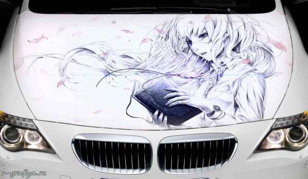 Аниме на капот