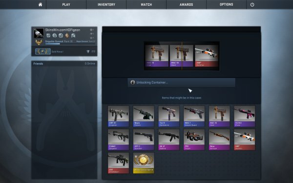 Кейс Феникс CS go