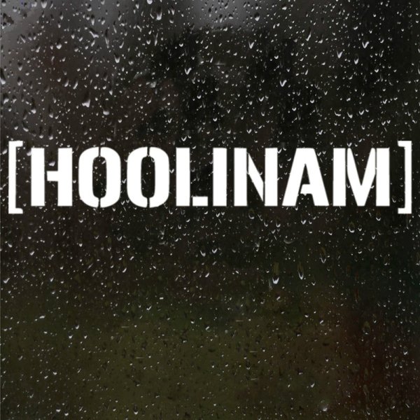 Наклейка на авто "HOOLINAM"
