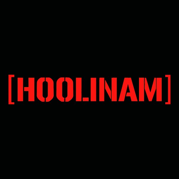 HOOLINAM наклейка на лобовое