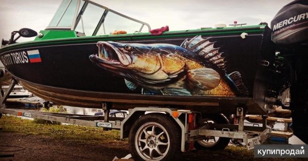 Рыба на борт лодки