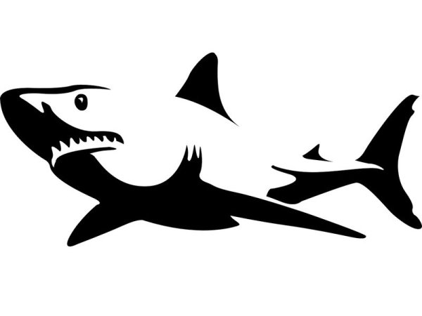 Белая акула эскиз