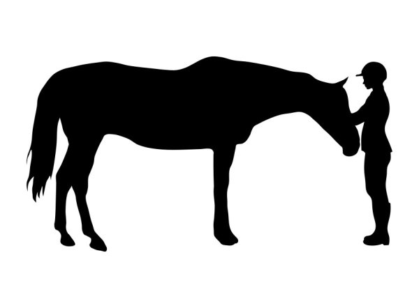 Стикеры лошади