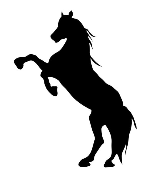 Наклейки на автолощадь