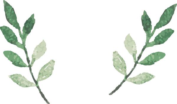 Лист растения без фона