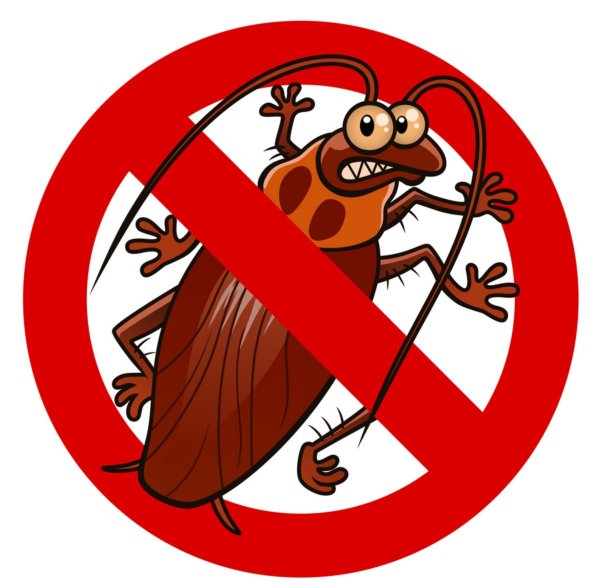 Стоп таракан Беларусь