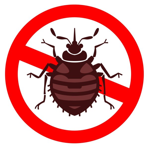 Клоп иконка