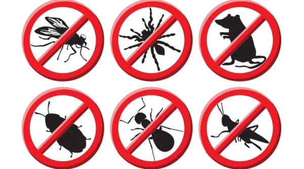 Рекламные наклейки уничтожение насекомых