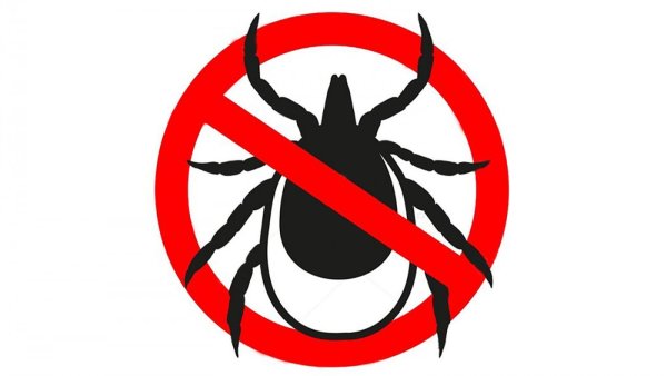 Знак браконьерство запрещено