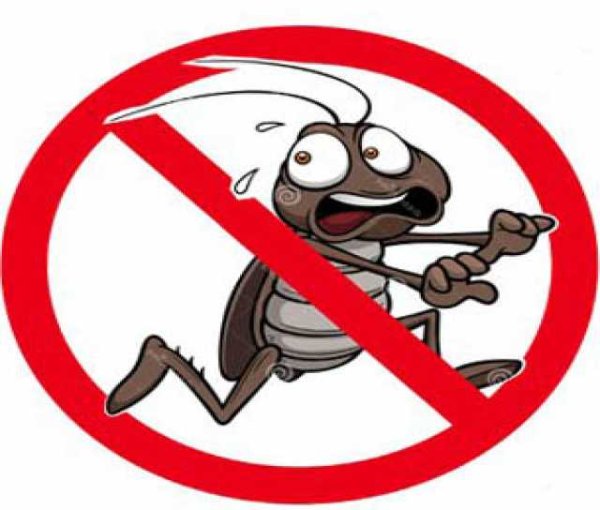 Прикольные логотипы запрещено