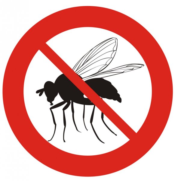 Против насекомых