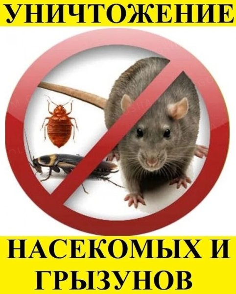 Уничтожить насекомых