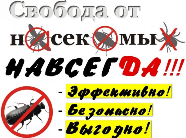 Визитки уничтожение насекомых
