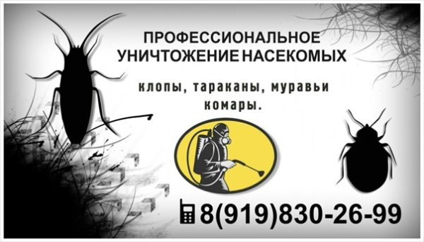 Дезинсекция реклама