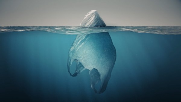 Необычные знаки на дороге