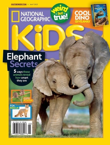 Национал географик логотип