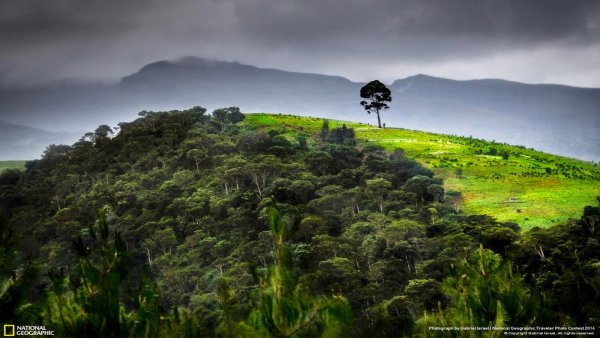 National Geographic your shot
