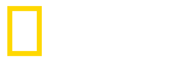 Лес под водой