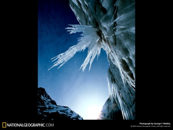 Дикая природа