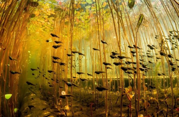 National Geographic наклейка на авто