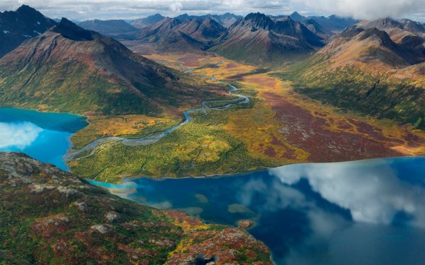 Джордж Стейнмец Верблюды