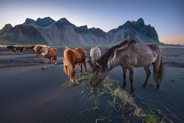 Национальное географическое общество