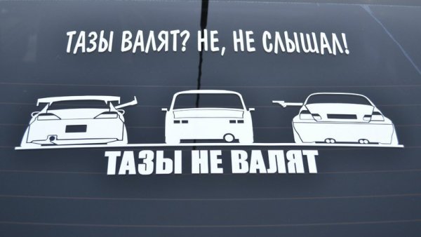 Раскраски тазы валят