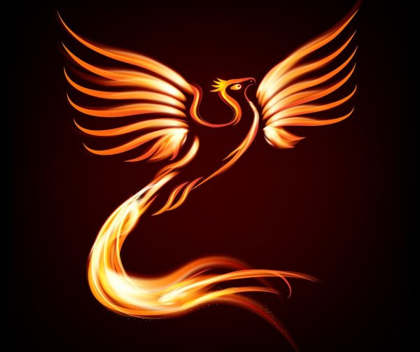 Феникс логотип