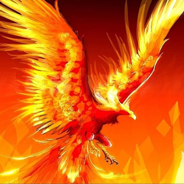 Феникс эскиз