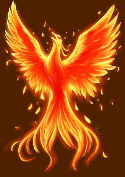 Fenix логотип