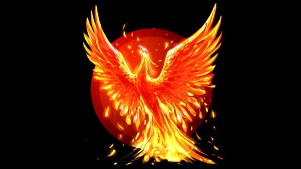 Феникс надпись красивая